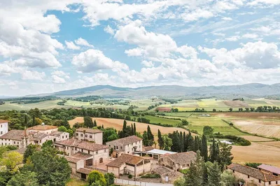 Savor Tuscany: Olive Oil & Wine Tasting Adventure at Tenuta di Mensanello