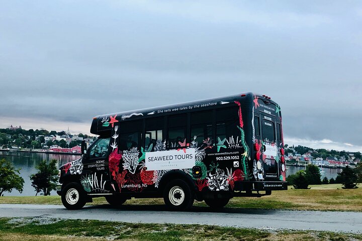 Experience Image img4