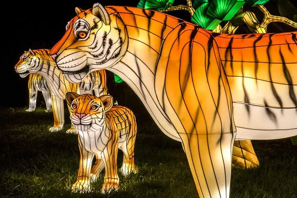 Bronx Zoo Holiday Lights: Tickets & Magical Experience