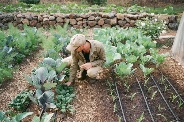 Napa Valley's Hidden Gem: Regenerative Farming Workshop