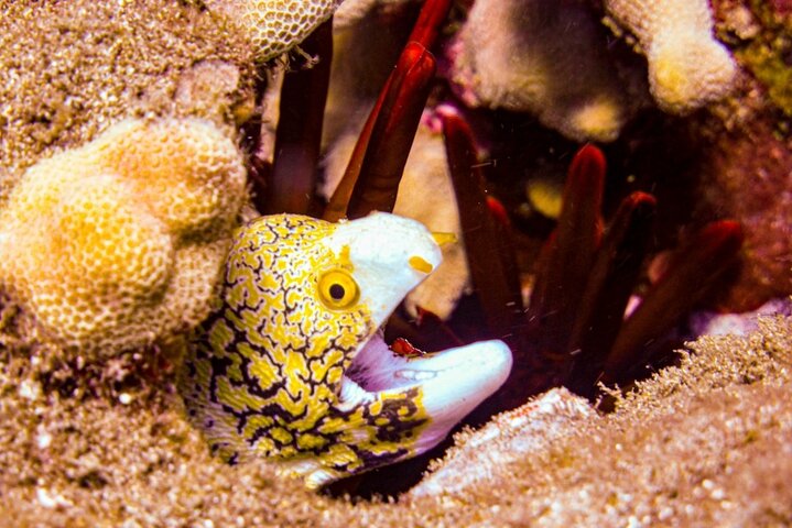 Experience Image img3