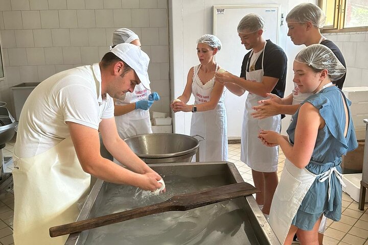 Unveiling Mozzarella Secrets: A Hands-On Dairy Adventure in Vico Equense