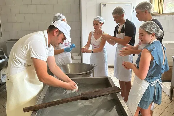 Unveiling Mozzarella Secrets: A Hands-On Dairy Adventure in Vico Equense