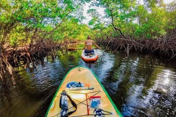 Discover Old Florida: Paddle, Kayak & Explore Bonnet House's Hidden Paradise