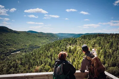 Montreal Nature Tour: Explore Country Roads & Wildlife