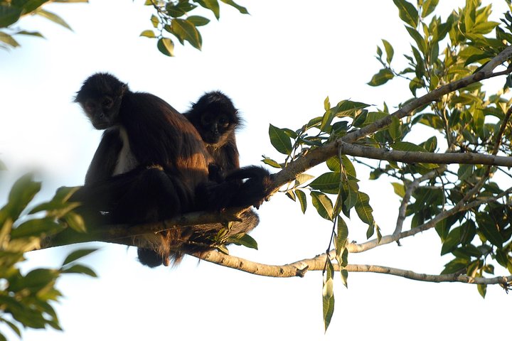 Experience Image img4