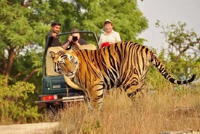 Unforgettable Delhi, Agra, Jaipur & Ranthambhore Tiger Tour