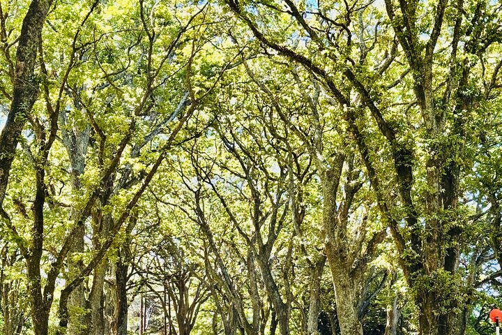 https://images.dyvarcity.com/experience-images/dyvarcity_f4f7d744ec6d07b96459ef812_85.jpg