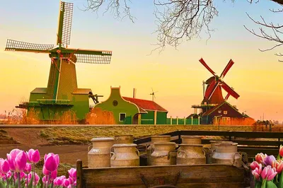 Giethoorn & Zaanse Schans: Small Group Tour
