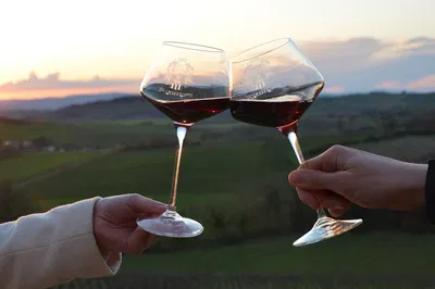 Chianti Winery Tour: Tuscan Views & Wine Tasting
