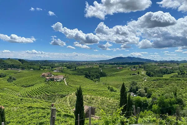Prosecco Hills Tour: A Taste of Italian Heritage from Padua
