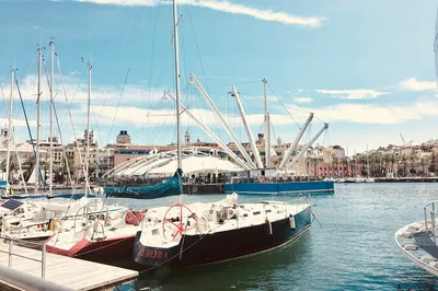 Unveiling Genoa: A Focaccia-Fueled Historical Adventure