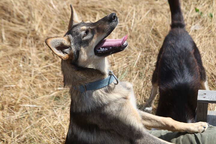 Experience Image img4