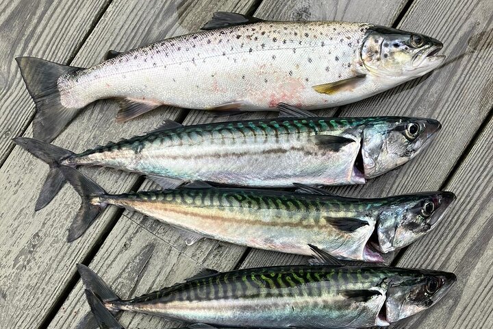 Experience Image img2