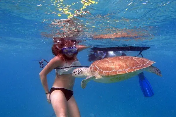 Florida Keys Eco-Adventure: Snorkel, Kayak & Marine Life Immersion!