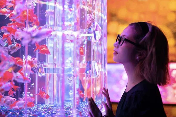 Dive into Aquatic Art: Tokyo's Mesmerizing Goldfish Spectacle!