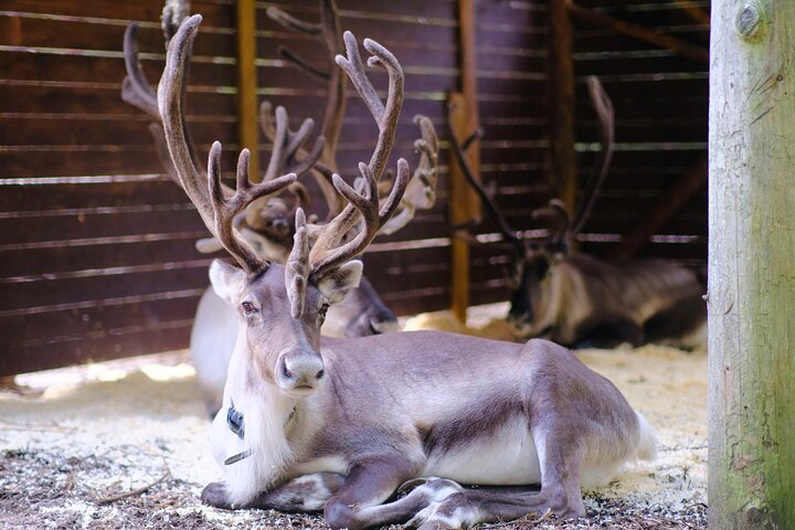 Experience Image img4