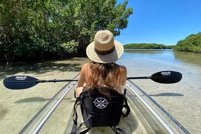Shell Key Clear Kayak Tour: See Dolphins & More!