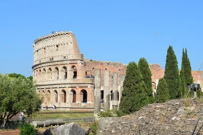 Colosseum Tour: Skip the Line & Gladiator Experience
