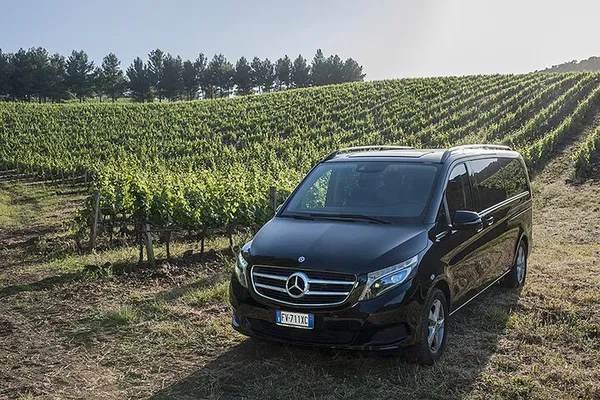 Unveiling Cefalù's Hidden Gems: A Medieval Village & Vineyard Escape