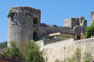 Uncover Etruscan Mysteries: A Tarquinia Day Trip from Civitavecchia!