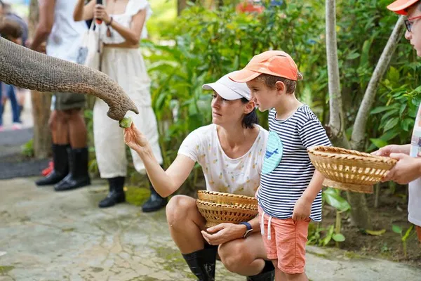 Phuket: Ethical Elephant Feeding Experience