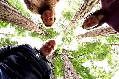 Unveiling San Francisco & Muir Woods: A Personalized Day of Wonder