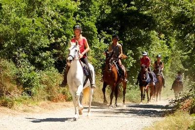 Tuscany on Horseback: A Medieval Village Ride