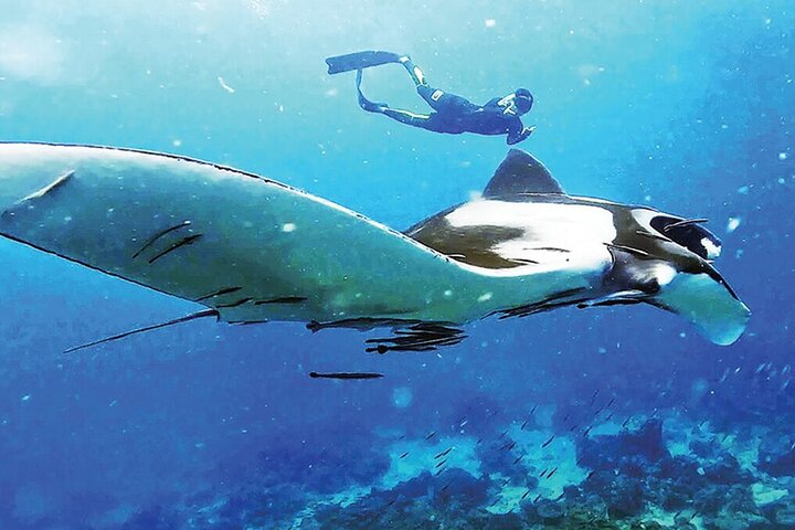 Discover Hidden Gems: 3-Day Emerald Cave & Coral Reef Snorkeling Adventure