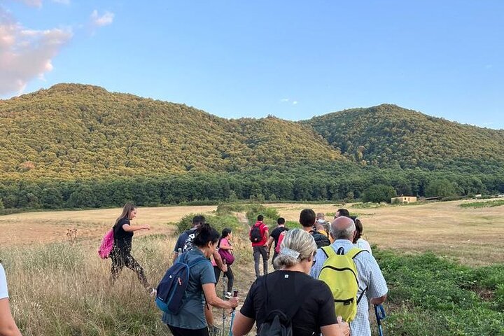 Experience Image img4