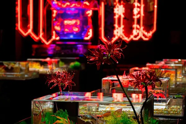 Art Aquarium Ginza: Goldfish Art & Admission Ticket