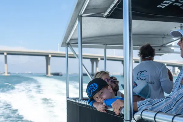 Dolphin Watching Adventure: Cruise St. Pete's Intercoastal Waterways