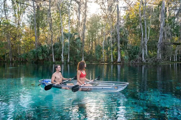 Glide Through Silver Springs: A Clear Kayak Wildlife Expedition
