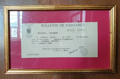 Image 3