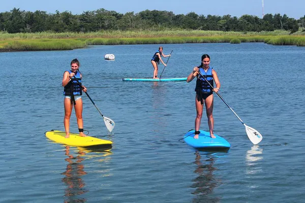 Glide into Serenity: Stand Up Paddleboarding on Cape Island Creek