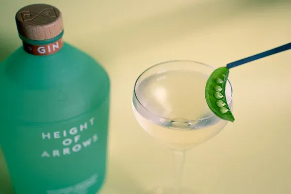 Holyrood Gin Tasting: Edinburgh Distillery Dive