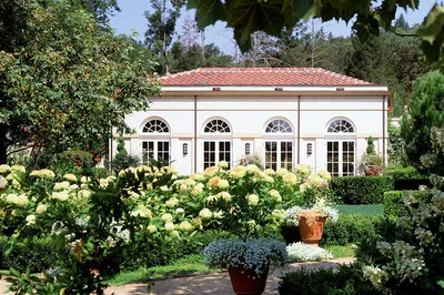 Unforgettable Sonoma: Private Wine Tour Adventure for Your Group!
