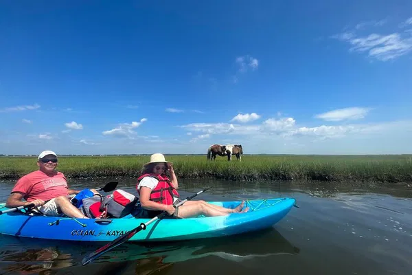 Assateague Kayak Adventure: Discover Wildlife & Wild Horses!