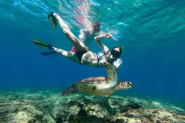 Aguadilla Snorkeling Adventure: Discover Coral Reefs!