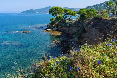 Cilento Boat Tour: Swim, Snorkel & Feast!