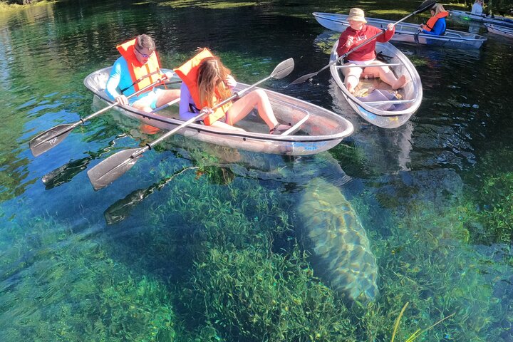 Experience Image img2