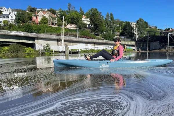 Glide & Explore: Launceston's Waterfront Kayak Adventure