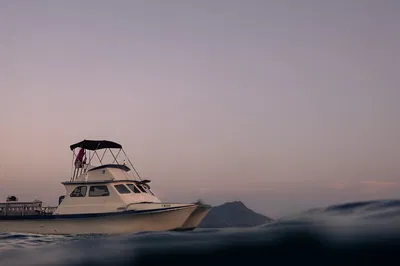 Oahu Sunset Spectacle: Private Snorkel & Dolphin Cruise!