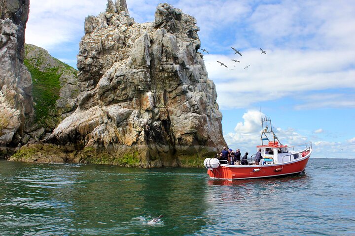 Discover Dublin's Hidden Gems: Howth Coastal Boat Tour Adventure!