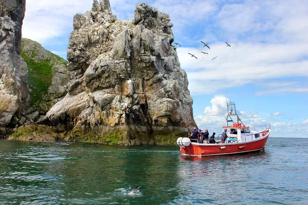 Discover Dublin's Hidden Gems: Howth Coastal Boat Tour Adventure!