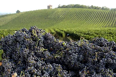 Valtellina Food Tour: Como Lake & Mountain Escape