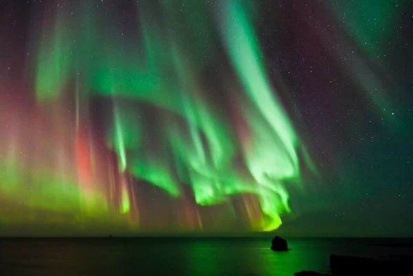 Iceland's #1 Northern Lights Tour: FREE Photos & Hot Cocoa!