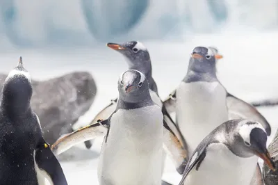 Dive into Wonder: SEA LIFE Konstanz & 'Animal Crossing' Adventure!
