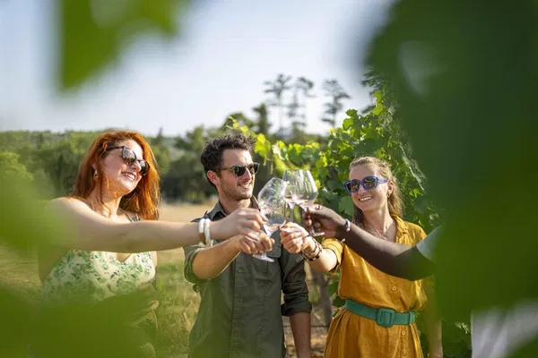 Cannes: Provence Wine Tour - Small Group Vineyard Escape