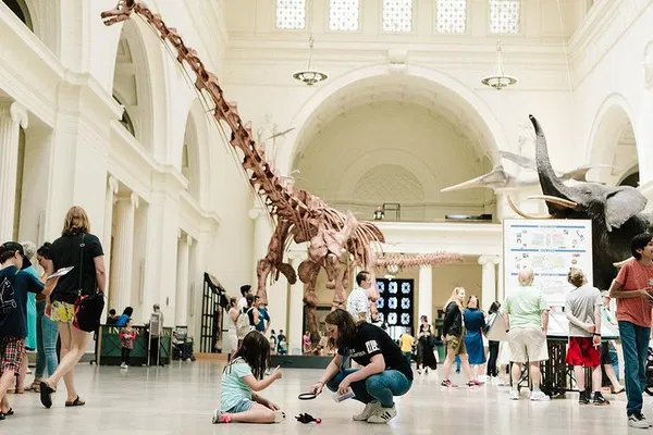 Unlock Chicago's Natural Wonders: Field Museum All-Access Adventure